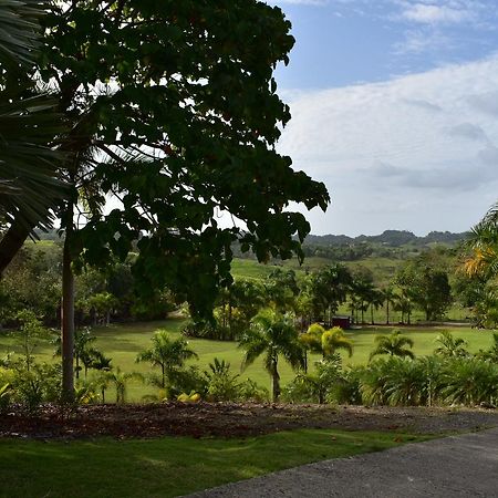 Hotel Hacienda Agroturistico Vista Hermosa Camuy エクステリア 写真