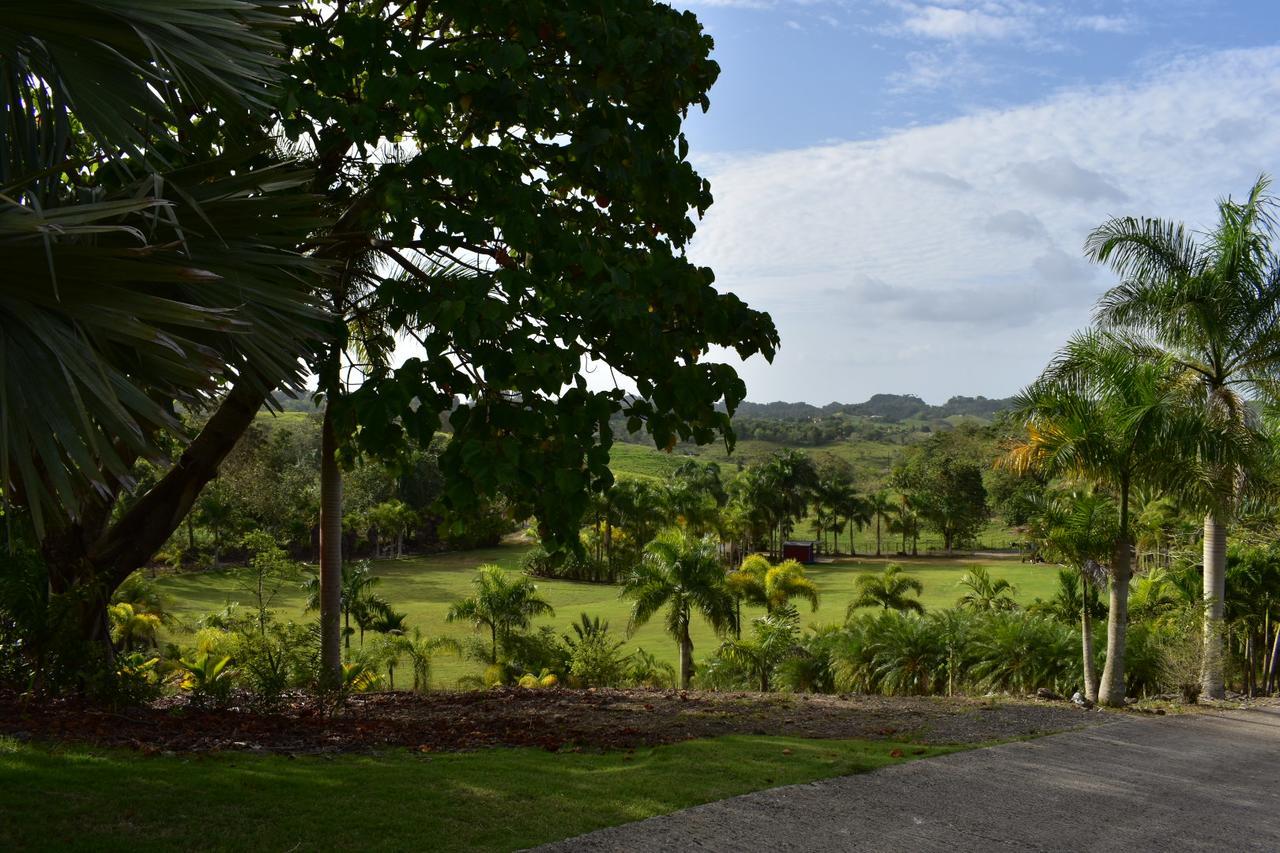 Hotel Hacienda Agroturistico Vista Hermosa Camuy エクステリア 写真